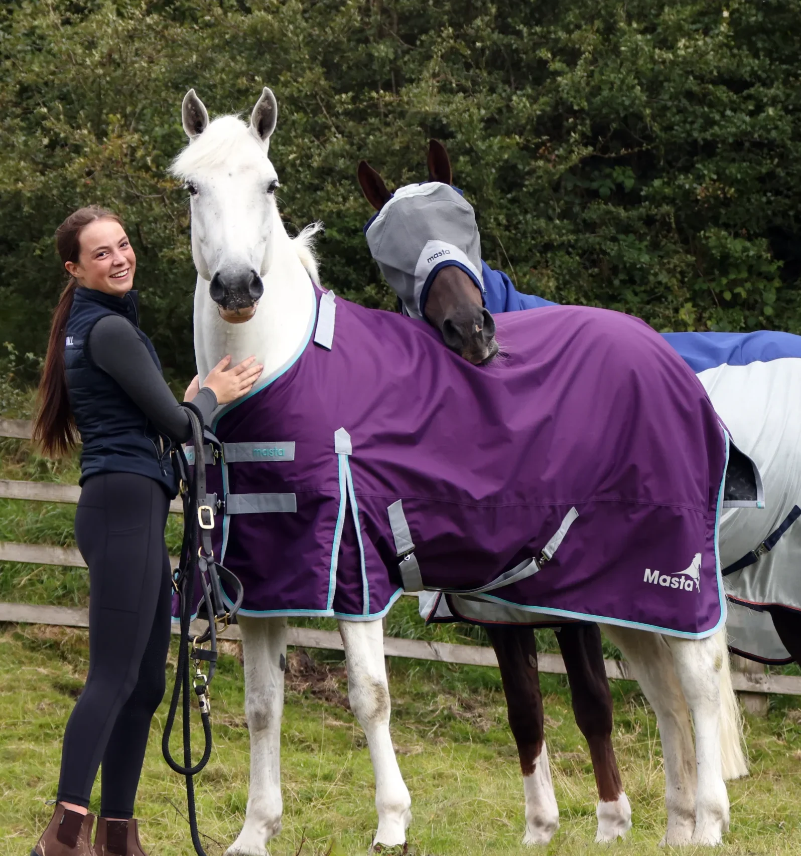 Harry Hall One Club | Horse Insurance | Multi Horse Herd Discount