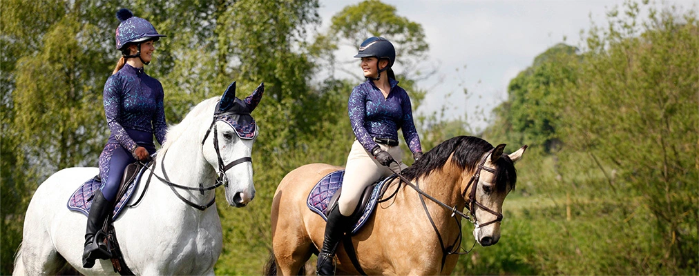 Horse and rider on parkland trail at Escrick Park
