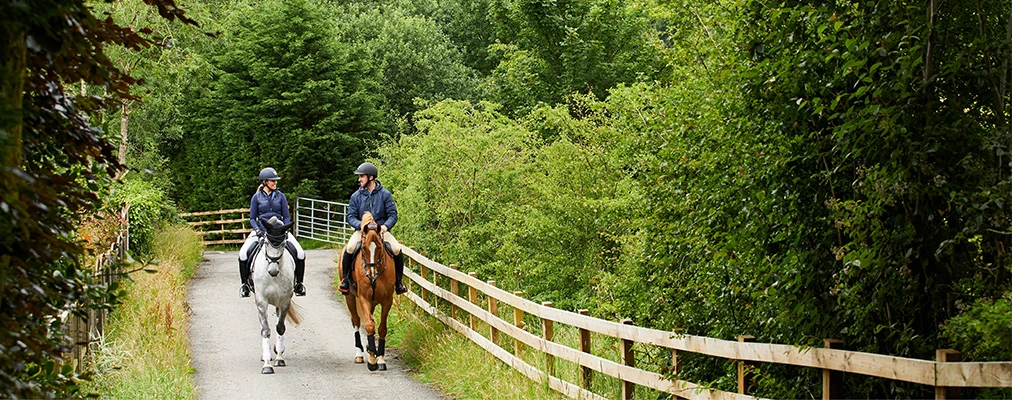 Horses riding through scenic British countryside
