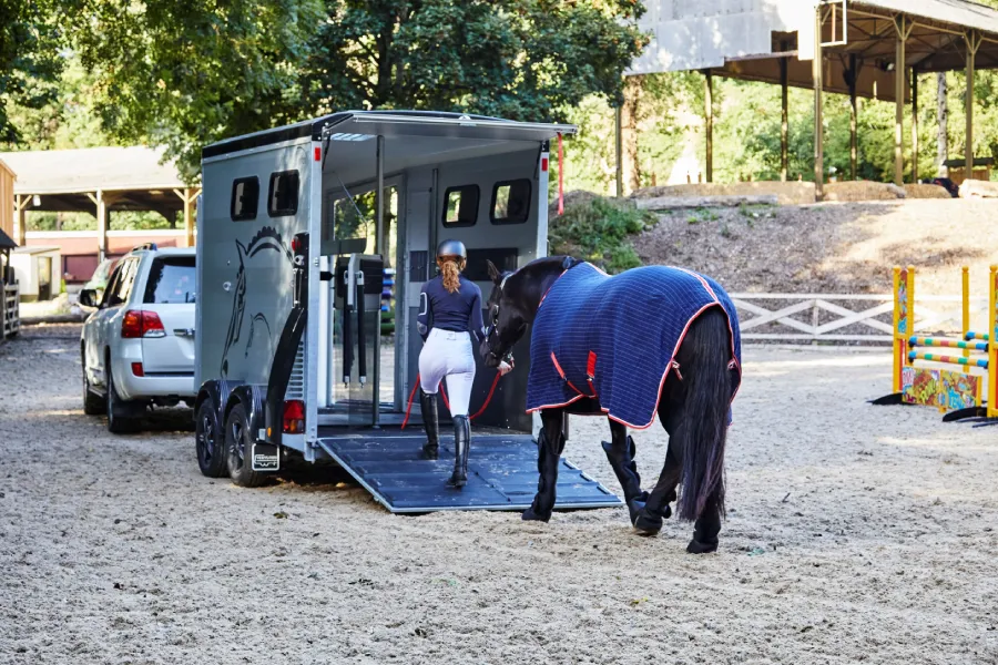 Leading horse onto horse trailer