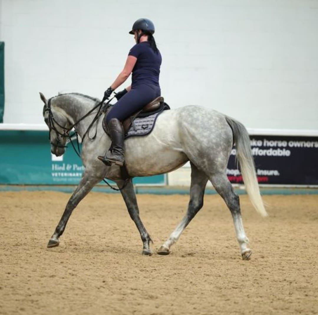 Sarah with her horse after an accidental leg injury, supported by Harry Hall horse insurance claim.