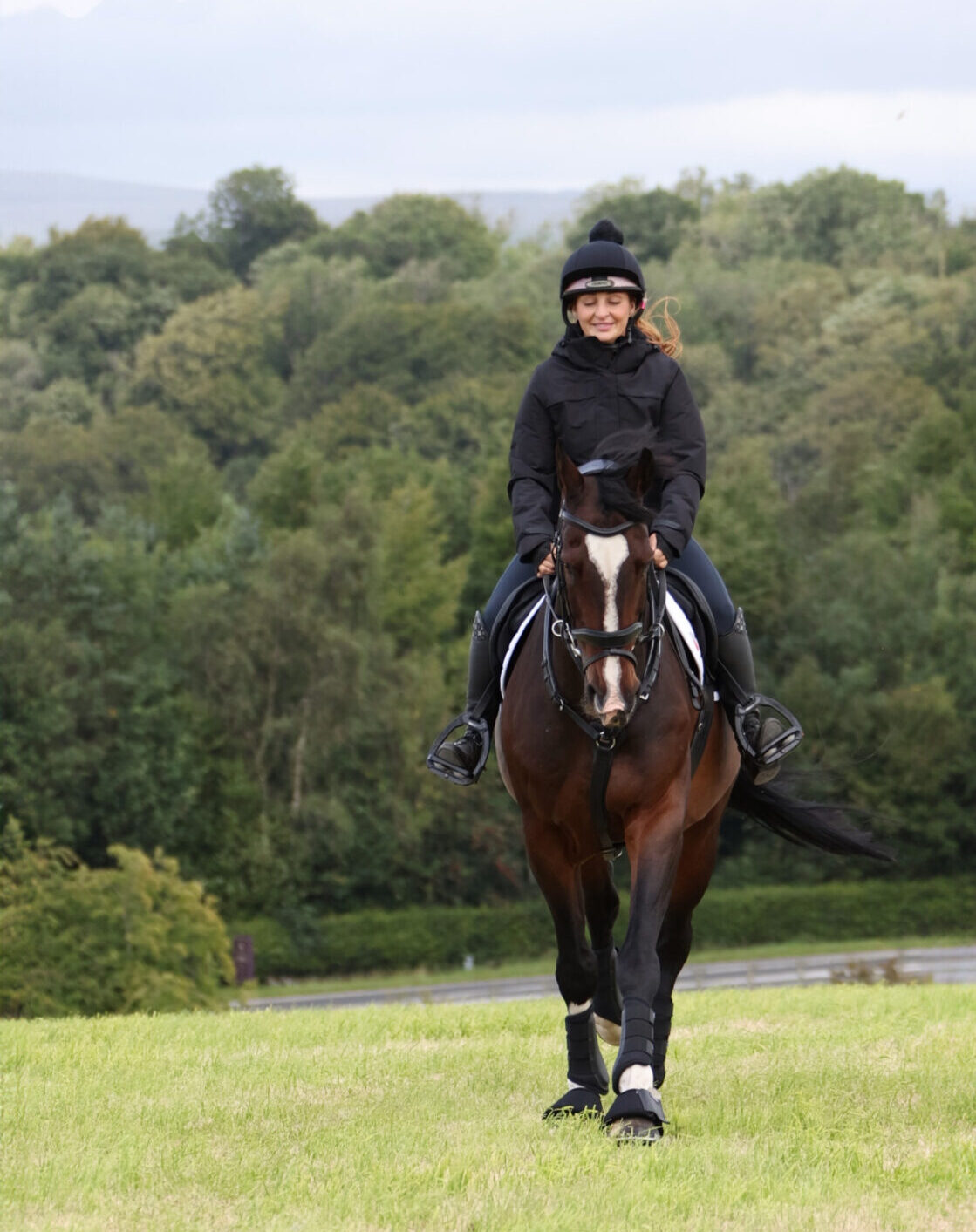 Harry Hall One Club | Horse Insurance | One Club Gold Member Benefits