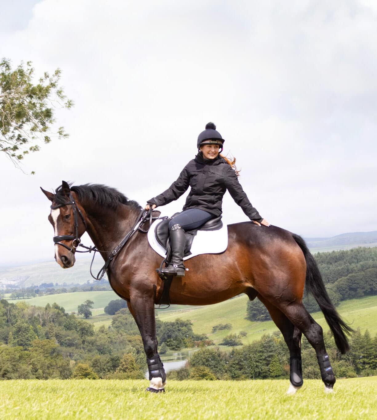 Harry Hall One Club | Horse Insurance | Lifetime Vet Fee Cover