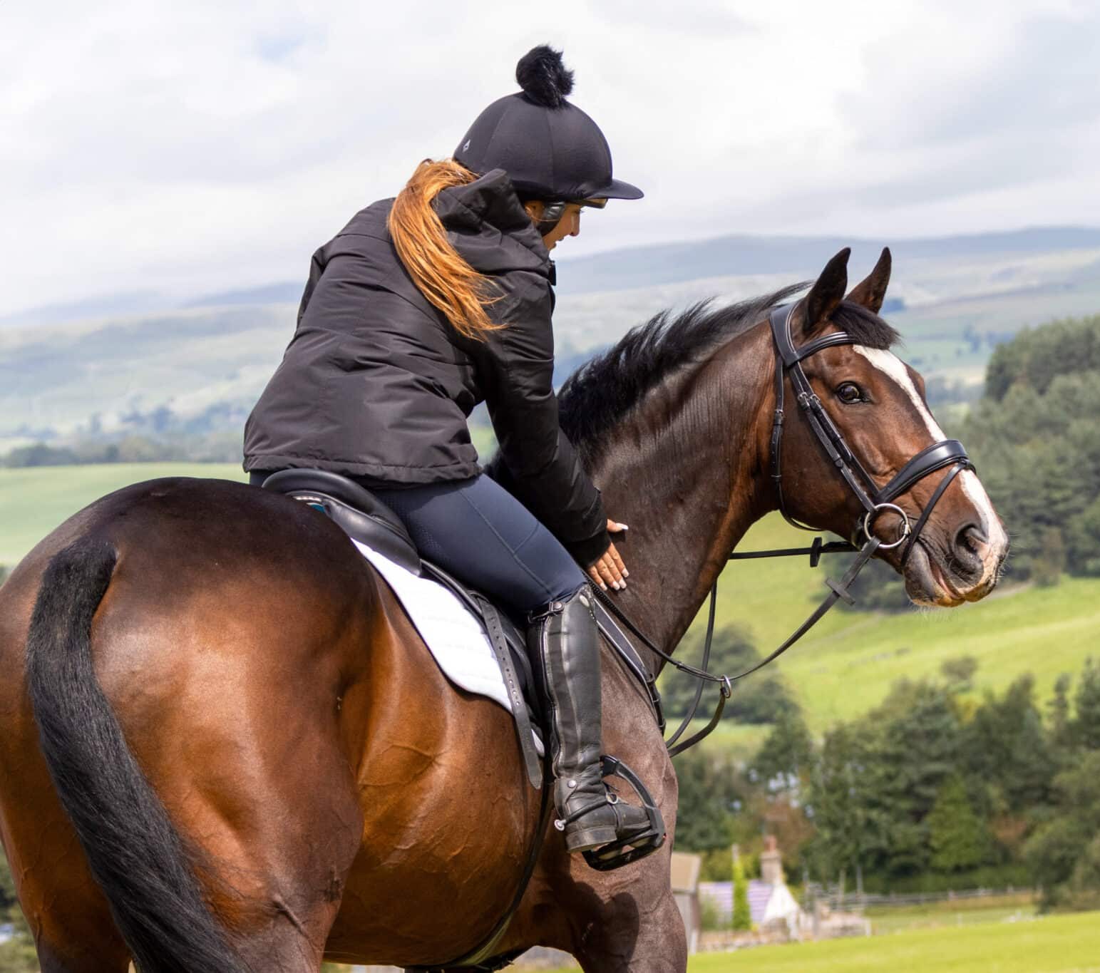 Harry Hall One Club | Horse Insurance | Lifetime* Horse Insurance