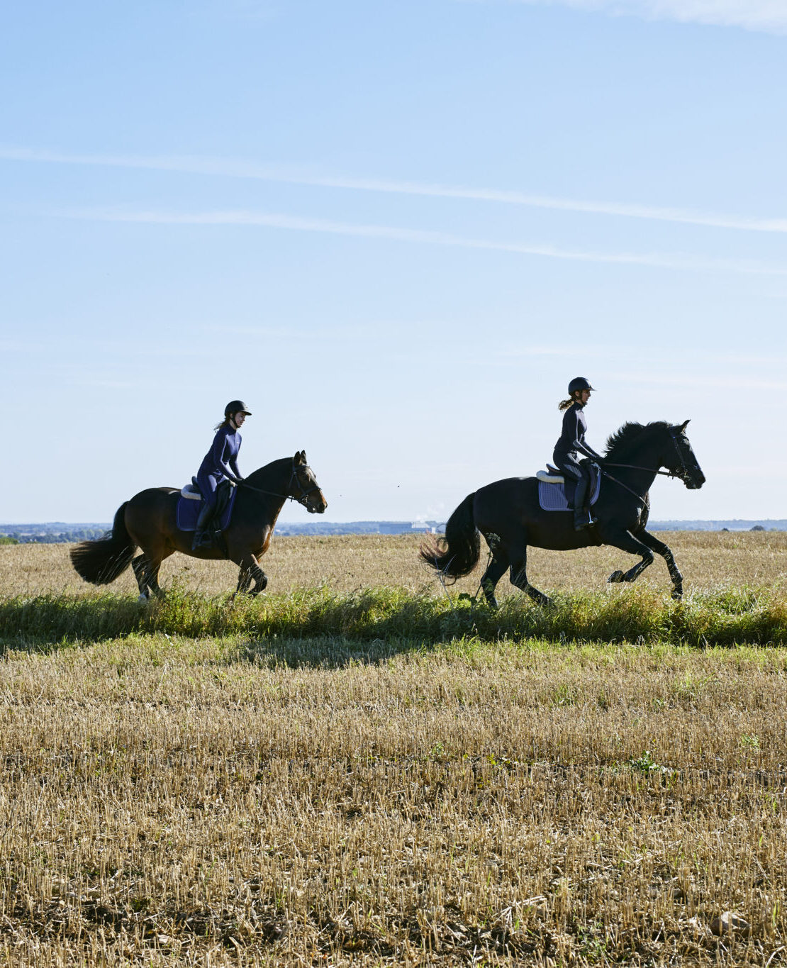 Harry Hall One Club | Horse Insurance | Public Liability & Personal Accident Insurance From £5.75 per month