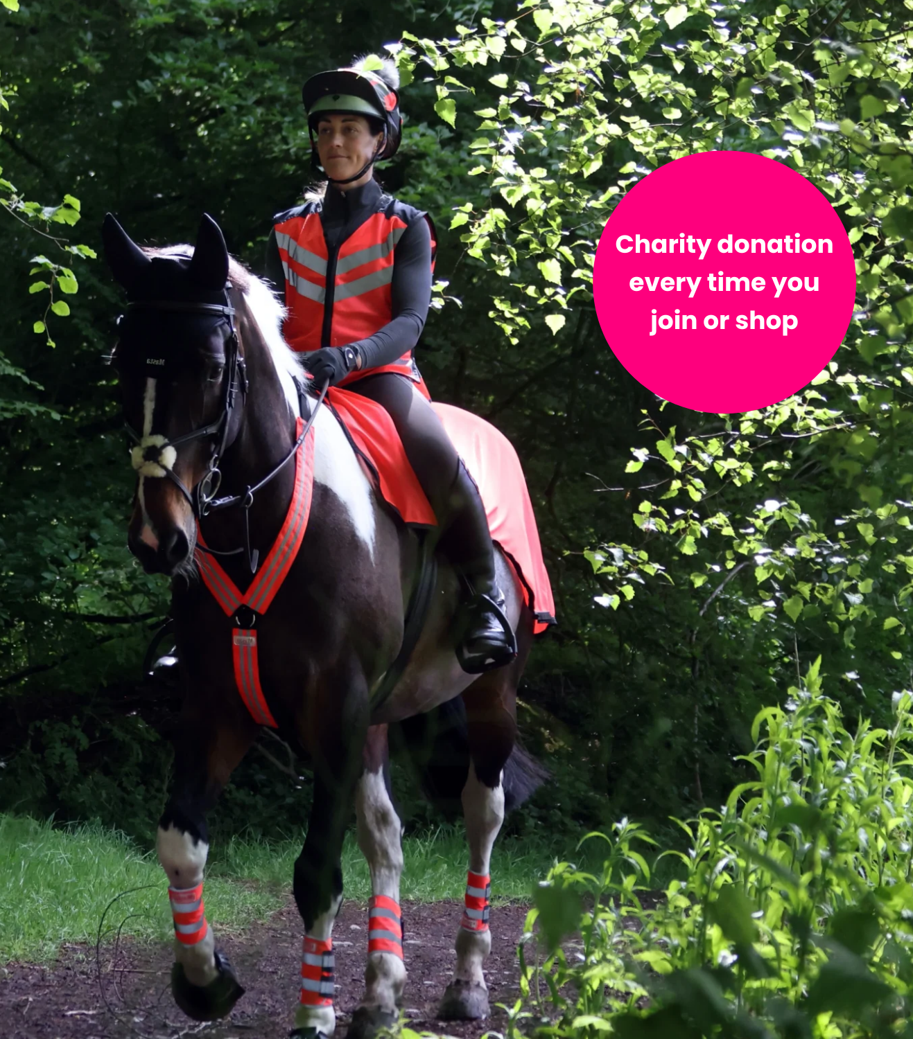 Harry Hall One Club | Public Liability Insurance | Multi Horse Discount | Affordable Horse Insurance