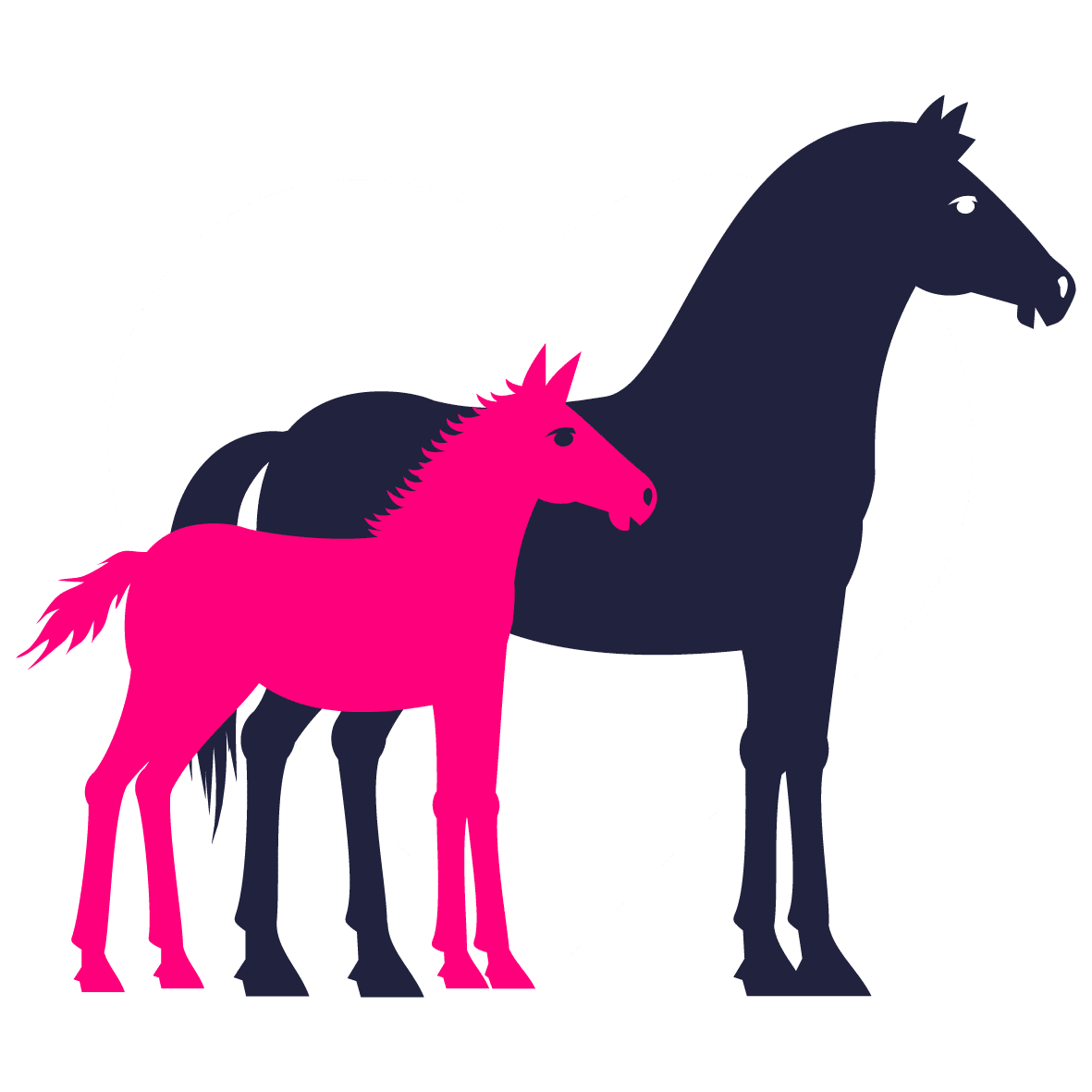 Annually renewable insurance throughout your horse's lifetime*