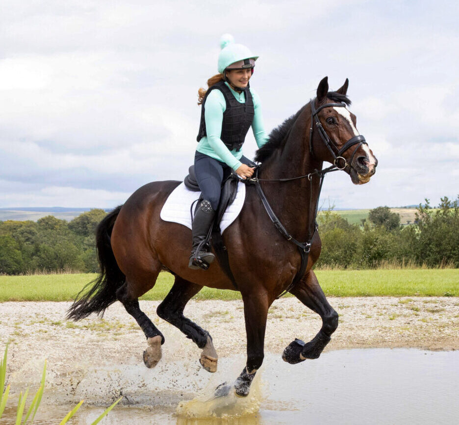 Harry Hall One Club | Horse Rider Insurance | 99% claim payout | Horse Rider Insurance